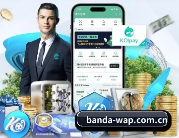 半岛综合 APP